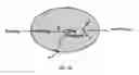 Fig. 03 - ANTIBIOTIC COMPOUNDS