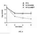 Fig. 09 - ANTIBIOTIC COMPOUNDS