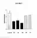 Fig. 06 - FURANOPYRIMIDINE CANNABINOID COMPOUNDS AND RELATED METHODS OF USE
