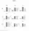Fig. 07 - Benzofuran cannabinoid compounds and related methods of use