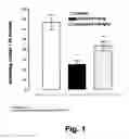 Fig. 02 - 3-aminocarbazole compounds, pharmaceutical composition containing the same and method for the preparation thereof