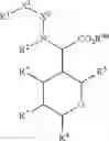Fig. 10 - SMALL MOLECULE INHIBITORS OF HIV PROTEASES
