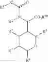 Fig. 13 - SMALL MOLECULE INHIBITORS OF HIV PROTEASES