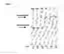 Fig. 02 - Use of antisense oligonucleotides to effect translation modulation