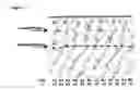 Fig. 07 - Use of antisense oligonucleotides to effect translation modulation
