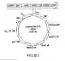 Fig. 13 - METHODS AND COMPOSITIONS FOR SEAMLESS CLONING OF NUCLEIC ACID MOLECULES