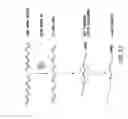 Fig. 22 - METHODS AND COMPOSITIONS FOR SEAMLESS CLONING OF NUCLEIC ACID MOLECULES