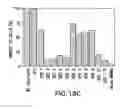 Fig. 28 - METHODS AND COMPOSITIONS FOR SEAMLESS CLONING OF NUCLEIC ACID MOLECULES