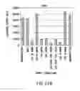 Fig. 33 - METHODS AND COMPOSITIONS FOR SEAMLESS CLONING OF NUCLEIC ACID MOLECULES