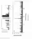 Fig. 09 - METHOD FOR TESTING A SUBJECT THOUGHT TO HAVE OR TO BE PREDISPOSED TO ASTHMA