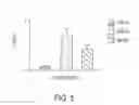 Fig. 07 - Nucleolar targeting of therapeutics against HIV