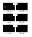 Fig. 11 - Nucleolar targeting of therapeutics against HIV