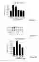 Fig. 07 - Fatty acid amides and uses thereof