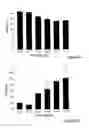 Fig. 08 - Fatty acid amides and uses thereof