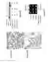 Fig. 09 - Fatty acid amides and uses thereof