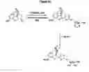 Fig. 04 - Pharmaceutical compositions for prevention of overdose or abuse