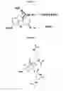 Fig. 65 - Pharmaceutical compositions for prevention of overdose or abuse
