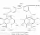 Fig. 17 - GOSSYPOL DERIVATIVES, PRODUCTION  METHOD THEREOF  AND USES OF SAME