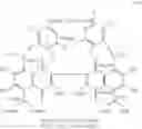 Fig. 19 - GOSSYPOL DERIVATIVES, PRODUCTION  METHOD THEREOF  AND USES OF SAME