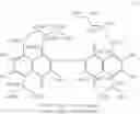 Fig. 20 - GOSSYPOL DERIVATIVES, PRODUCTION  METHOD THEREOF  AND USES OF SAME