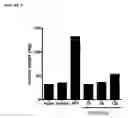Fig. 05 - Compounds with activity at estrogen receptors