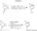 Fig. 55 - Compounds with activity at estrogen receptors