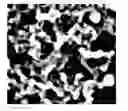 Fig. 01 - Dental composition and composite resin