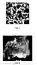 Fig. 02 - Dental composition and composite resin