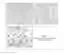 Fig. 02 - Hydrolytically stable polyurethane nanocomposites