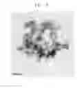 Fig. 07 - Capsulated colorant, method of preparing the same, ink composition including the capsulated colorant