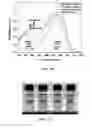 Fig. 06 - Black soluble conjugated polymers with highly transmissive oxidized state