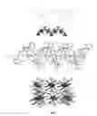 Fig. 03 - Supramolecular functional materials