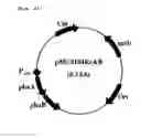 Fig. 04 - Copolymer containing 3-hydroxyalkanoate unit and lactate unit, and its manufacturing method