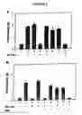 Fig. 04 - Tumor suppressor activating polypeptides and uses thereof