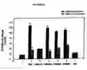 Fig. 07 - Tumor suppressor activating polypeptides and uses thereof