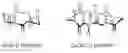 Fig. 01 - Methods for preparing linked peptide rings and peptide nanotubes obtained thereby