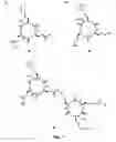 Fig. 06 - Methods for preparing linked peptide rings and peptide nanotubes obtained thereby