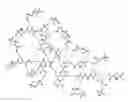 Fig. 01 - BIOMATERIAL WITH FUNCTIONALISED SURFACES