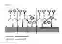 Fig. 07 - BIOMATERIAL WITH FUNCTIONALISED SURFACES
