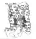 Fig. 01 - Mutant proteins and methods for selecting them
