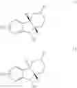 Fig. 321 - LIGANDS OF 5-HT6 RECEPTORS, A PHARMACEUTICAL COMPOSITION, METHOD FOR THE PRODUCTION AND USE THEREOF