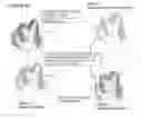 Fig. 01 - Novel Imaging Agents for Detecting Neurological Dysfunction