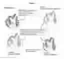 Fig. 09 - Novel Imaging Agents for Detecting Neurological Dysfunction