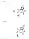 Fig. 07 - Platinum complex compound and utilization of the same