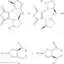 Fig. 128 - Processes