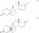 Fig. 17 - Method and intermediates for preparing 19-norsteroid compounds