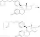 Fig. 55 - Method and intermediates for preparing 19-norsteroid compounds