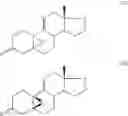 Fig. 58 - Method and intermediates for preparing 19-norsteroid compounds