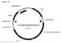 Fig. 85 - Fuel compositions comprising isoprene derivatives