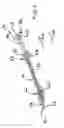 Fig. 06 - Injection apparatus